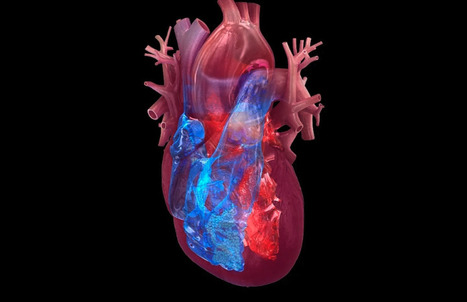 Some Acute and Chronic Viral Infections May Increase the Risk of Cardiovascular Disease | Virus World | Scoop.it