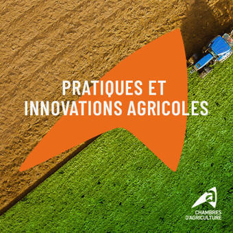 A.R.B.R.E : des agriculteurs s'engagent en faveur de la biodiversit&eacute; - Ausha | Pour innover en agriculture | Scoop.it