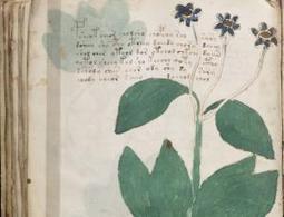 New signs of language surface in mystery Voynich text | Science News | Scoop.it