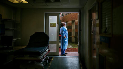 Pandemic Expert Michael T. Osterholm Thinks a Future COVID Could Be So Much Worse | Virology News | Scoop.it