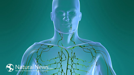 Clean your Body's Drains: How to Detoxify your Lymphatic System | SELF HEALTH + HEALING | Scoop.it