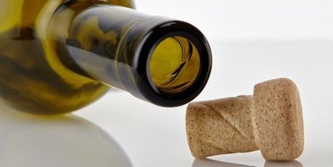 Helix, le bouchon qui rêve de dévisser Bordeaux | Entreprises à Bordeaux et en Gironde | Scoop.it