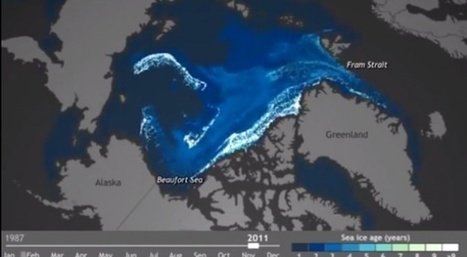 En Arctique, la glace la plus vieille fond et emporte le reste de la banquise avec elle | Slate | News from the world - nouvelles du monde | Scoop.it