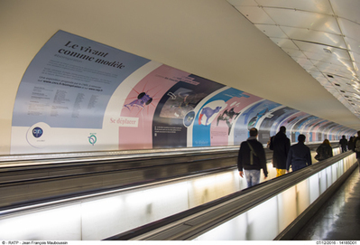 « Le vivant comme modèle » : le CNRS s’affiche dans le métro | Prévention du risque chimique | Scoop.it