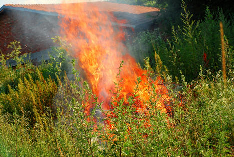 What Is Firescaping? Plus How to Use It to Defend Your Home Against Wildfires | 1Uutiset - Lukemisen tähden | Scoop.it