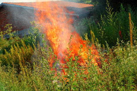 What Is Firescaping? Plus How to Use It to Defend Your Home Against Wildfires | Best Backyard Patio Garden Scoops | Scoop.it