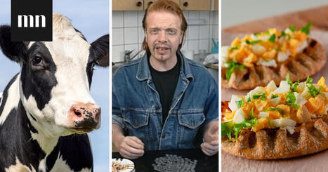 20 ikivihre&auml;&auml; suomen kielen letkautusta, joita kukaan huumoriniekka ei voi vastustaa | 1Uutiset - Lukemisen t&auml;hden | Scoop.it