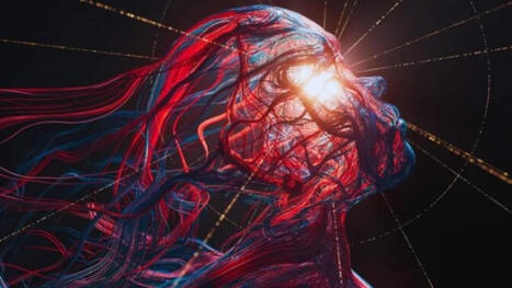 C&oacute;mo una sola c&eacute;lula termina convirti&eacute;ndose en 170 mil millones dentro del cerebro. Un estudio propone un nuevo mecanismo que explicar&iacute;a la arquitectura del sistema nervioso | Mi Caj&oacute;n de Ideas | Scoop.it