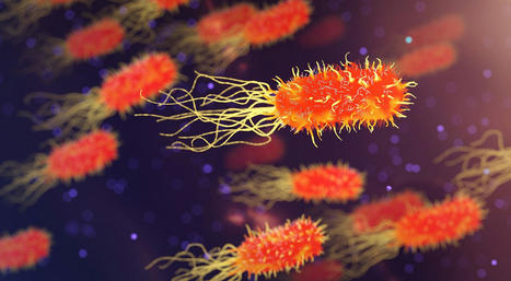 Newly Discovered Virus Can Kill Resistant Bacteria | Virus World | Scoop.it