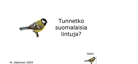 Tunnetko suomalaisia lintuja? | 1Uutiset - Lukemisen tähden | Scoop.it