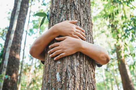 American Eagle, C&A Sign on to Higg’s ‘Swifter’ Climate Strategy  | Sustainable Procurement News | Scoop.it