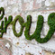 Moss Graffiti: Growing On A Wall Near You | Gardening Life | Scoop.it