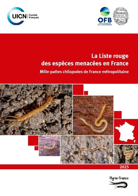 Situation préoccupante pour les mille-pattes et les perles de France métropolitaine | Insect Archive | Scoop.it