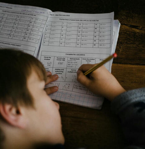 The AI Mirror: How GenAI Reflects and Amplifies Gaps in Early Math Expertise | Educational Technology News | Scoop.it