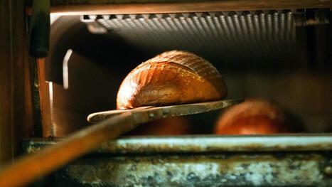 Künstliche Intelligenz optimiert Arbeitszeiten in Bäckerei | Künstliche Intelligenz | Scoop.it