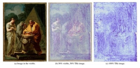 Terahertz Image Reveals Goya's Hidden Signature in Old Master Painting | Science News | Scoop.it