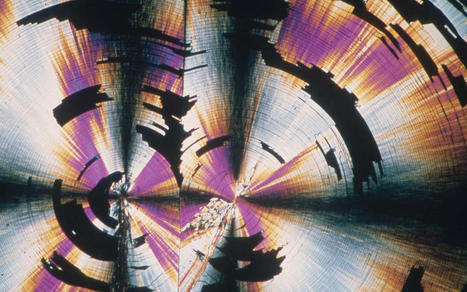 SorbonNum+, au cœur des collections scientifiques | InfoDoc - Information Scientifique Technique | Scoop.it