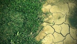 El maquillaje de las cifras de emisiones de CO2 | PIENSA en VERDE | Scoop.it