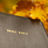 Christian Spiritual Counseling