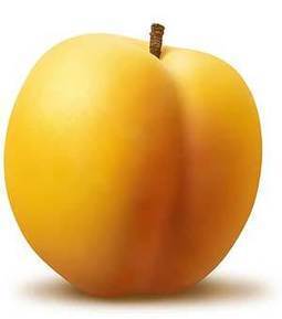 Vitamin B 17 - Da li se lek protiv raka prikriva ? | КУВАР | Scoop.it