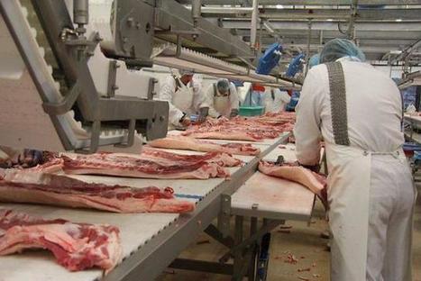 Pour l'entreprise Abera, le développement passe par l'export | La Gazette des abattoirs | Scoop.it