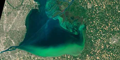 &laquo;&nbsp;Quand la nature est reconnue sujet de droit, cela permet de r&eacute;guler des activit&eacute;s industrielles&nbsp;&raquo; | ECOLOGIE - ENVIRONNEMENT | Scoop.it