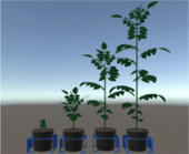 Virtual reality-based digital twins for greenhouses : a focus on human interaction - ScienceDirect | Pour innover en agriculture | Scoop.it