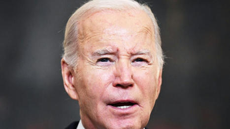 The Biden Campaign Fills Out Its Digital Team Ahead of Super Tuesday | Political Process | Scoop.it