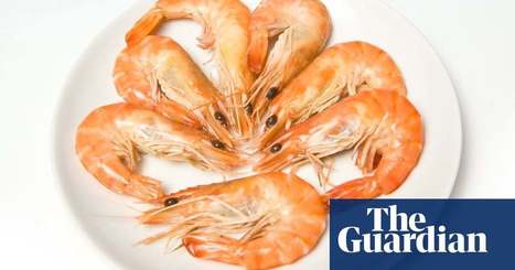 Half of people who think they have a food allergy do not &ndash; study | Society | The Guardian | Allergy (and clinical immunology) | Scoop.it