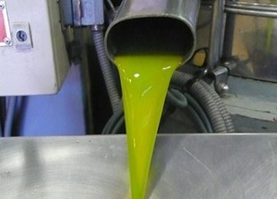 Enero, récord de exportaciones de aceite de oliva para España | OLIVE NEWS | Scoop.it