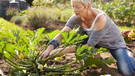 L'ORE : l’obligation réelle environnementale | Biodiversité | Scoop.it