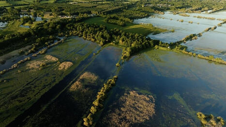 REPORTAGE. &laquo;&nbsp;Les tourbi&egrave;res d&eacute;grad&eacute;es &eacute;mettent plus de CO2&nbsp;que les avions&nbsp;&raquo;&nbsp;: une restauration in&eacute;dite se pr&eacute;pare - Ouest France [Abonn&eacute;s] | Agriculture en Pays de la Loire | Scoop.it