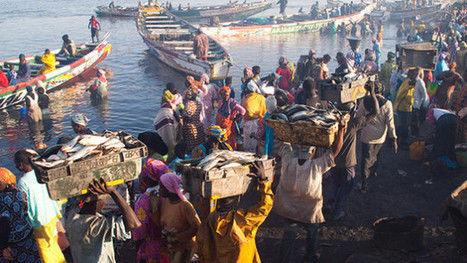 Is regional trade the key to human rights enforcement in Africa? | Devex | Africa's Development, Trade, Finance | Scoop.it