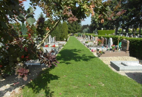 Abeille, h&eacute;risson, renard : les cimeti&egrave;res, nouveaux sanctuaires de biodiversit&eacute; | Paysage - Agriculture | Scoop.it