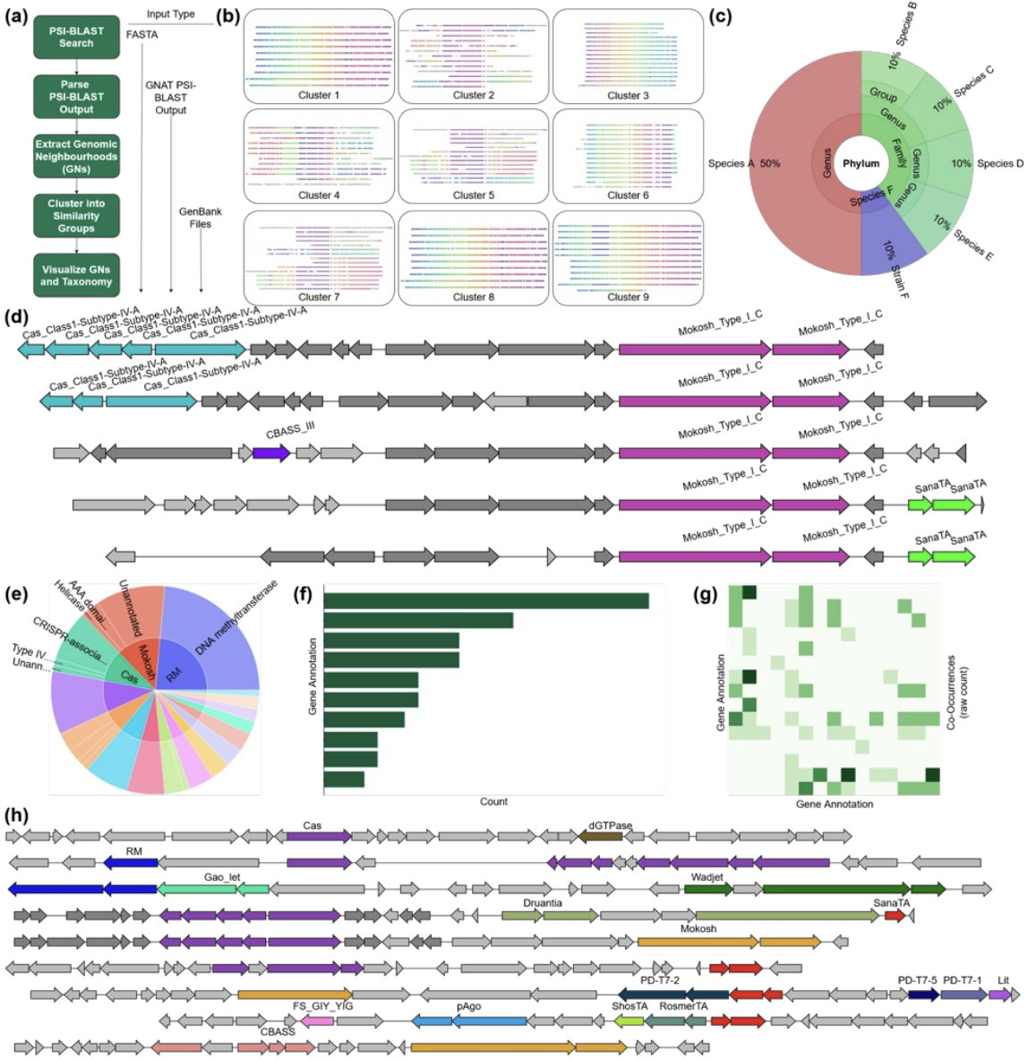 GNAT: An Interactive Web Tool for Gene Neighbou...