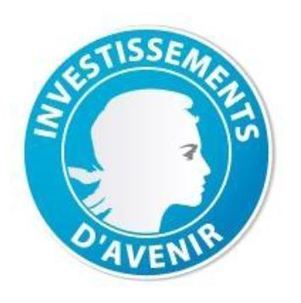 Des investissements d'avenir avec 5 programmes qui visent &agrave; am&eacute;liroer notre syst&egrave;me de soins gr&acirc;ce aux NTIs | e-Sant&eacute;, Objets Connect&eacute;, Senior 3.0, Silver Economie, D&eacute;pendance N.0! | Scoop.it