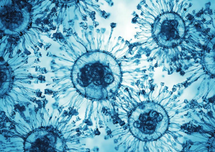 A Third State Exists Between Life and Death, Some Scientists Now Believe | The Health Report | Scoop.it