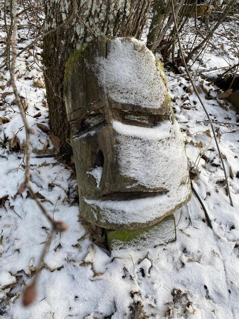 Leinoa ja taloutta &ndash; Kirjailija Hannu M&auml;kel&auml; | 1Uutiset - Lukemisen t&auml;hden | Scoop.it