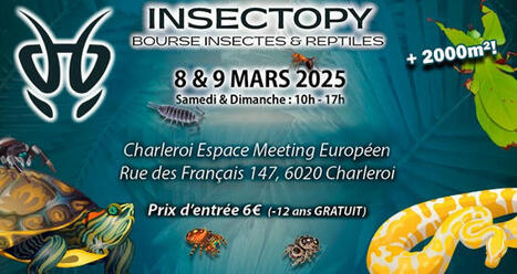 INSECTOPY Le 08-09/03/2025 à Charleroi (Belgique) | Variétés entomologiques | Scoop.it