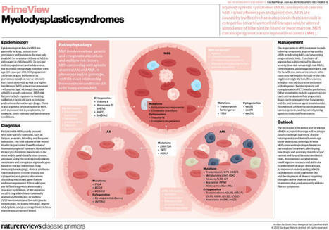 Myelodysplastic syndromes | Nature Reviews Disease Primers | Hematology | Scoop.it