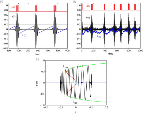 Des mathématiciens expliquent comment certaines lucioles clignotent de manière synchronisée | EntomoNews | Scoop.it