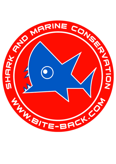 Trailer » GreatWhiteShark3D | les films, grand format ou pas | Scoop.it