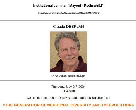 Claude Desplan - Institutional seminar "Mayent - Rothschild", 2 mai 2024 à 11h30 (Orsay) | Life Sciences Université Paris-Saclay | Scoop.it