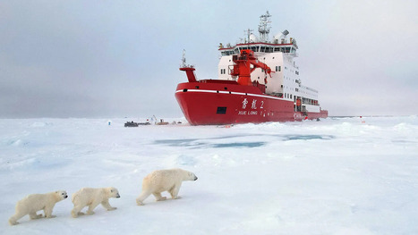 CHINA: What is really up to in the Arctic&nbsp; | LE GRAND NORD | Scoop.it