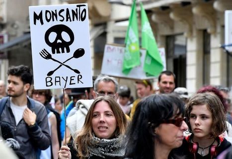 Monsanto Papers, la saga continue … | EntomoScience | Scoop.it