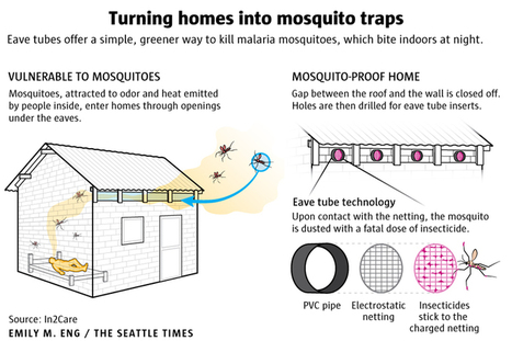 Des maisons transformées en pièges à moustiques [en anglais] | EntomoNews | Scoop.it