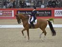 Adelinde Cornelissen reine du dressage lyonnais | Cheval et sport | Scoop.it