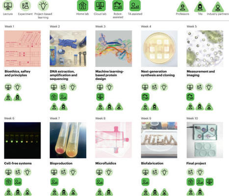 How to grow (almost) anything: a hybrid distance learning model for global laboratory-based synthetic biology education | Nature Biotechnology | SynBioFromLeukipposInstitute | Scoop.it