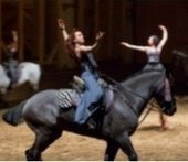 LAcadémie Equestre Nationale du Domaine de Versailles sera à Toulouse en juillet - Actualité Toulouse du 13/06/2016 | Salon du Cheval | Scoop.it