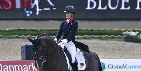 Dressage : Dujardin intouchable, pas infaillible | Cheval et sport | Scoop.it